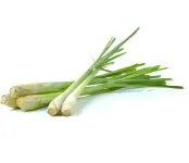 Lemongrass