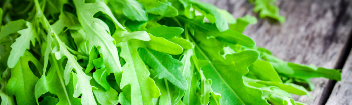 Arugula