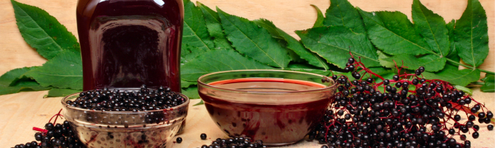 Elderberry Syrup Kits