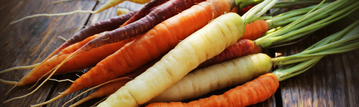 Carrots (Rainbow Multi Color)