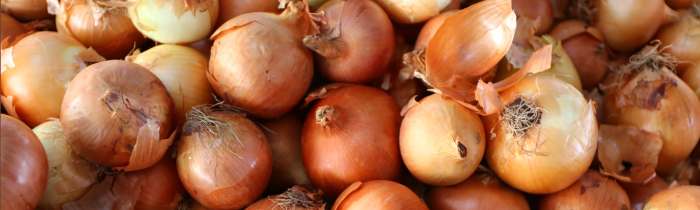 Vidalia Onions